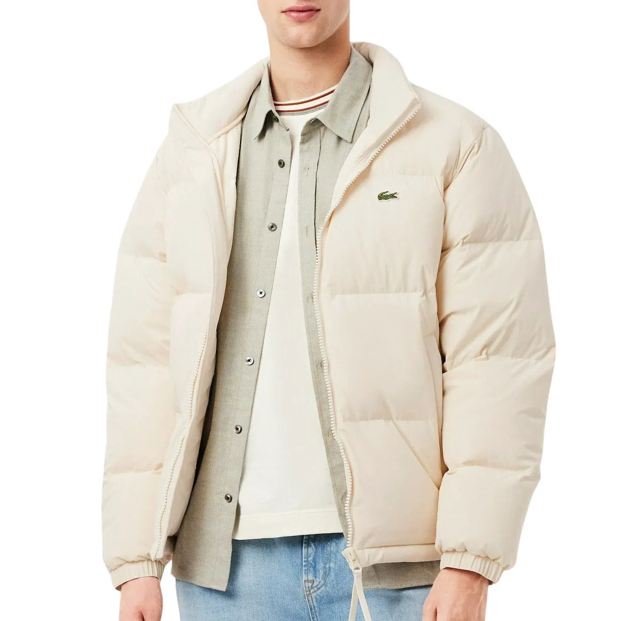 Lacosta Cross-border Lac Crocodile Classic Logo Embroidery British Old Money Style Simple Stand Collar Bread Padded Jacket